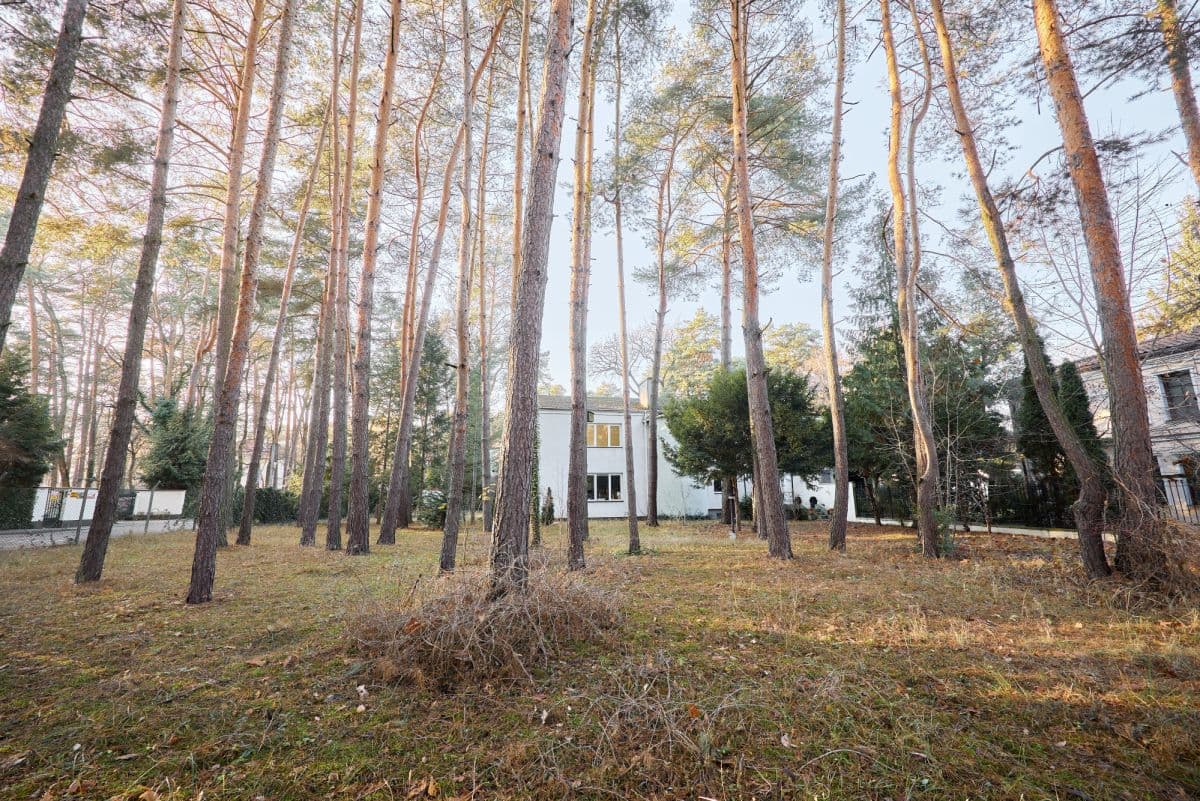 Wyjątkowy dom do działalności medycznej lub innej – 14