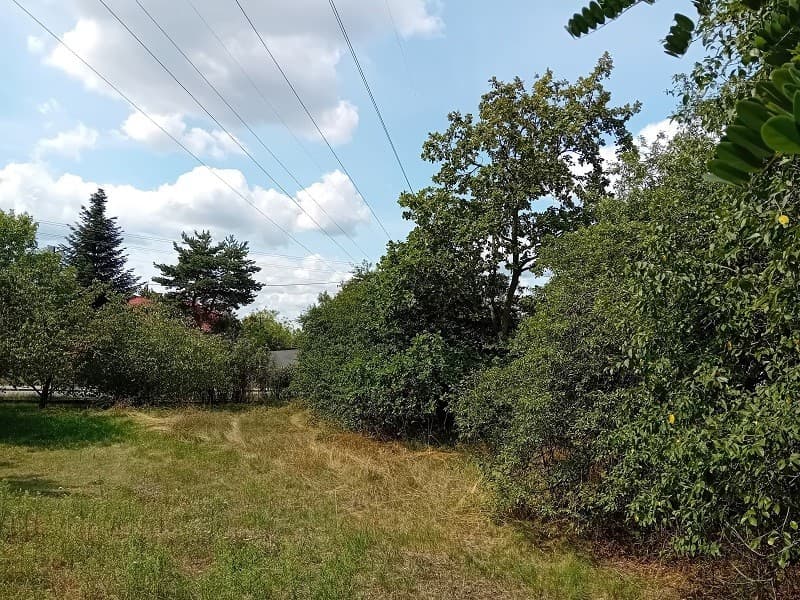 Atrakcyjna lokalizacja na ul. Chełmżyńskiej - Photo 2