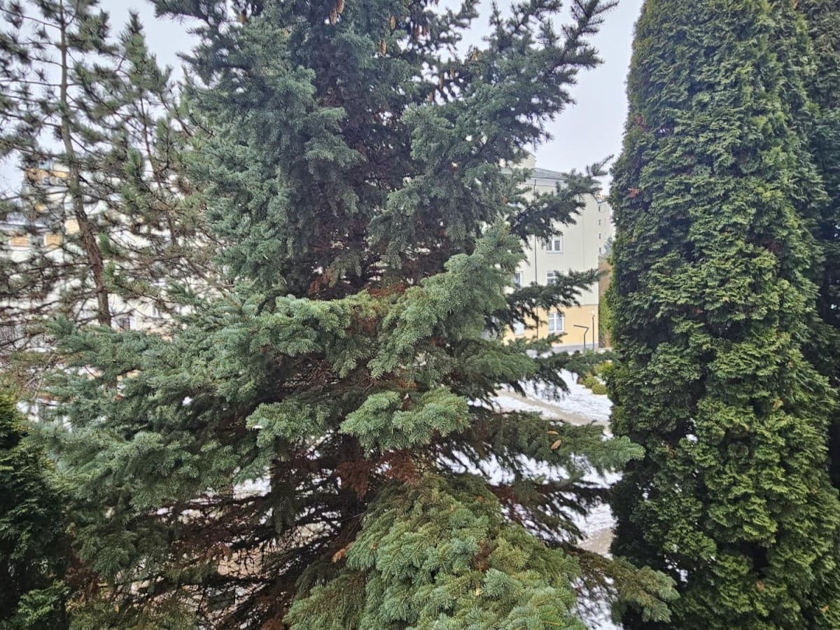 Zapraszam - doskonała lokalizacja - Photo 4