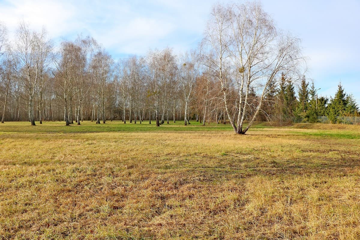 Działka usługowo-produkcyjna z MPZP URSYNÓW - Main photo