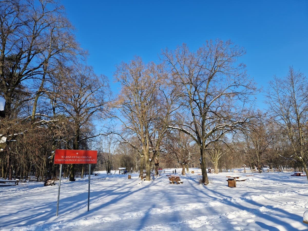 Działka budowlana blisko Parku Młocińskiego z WZ – 1