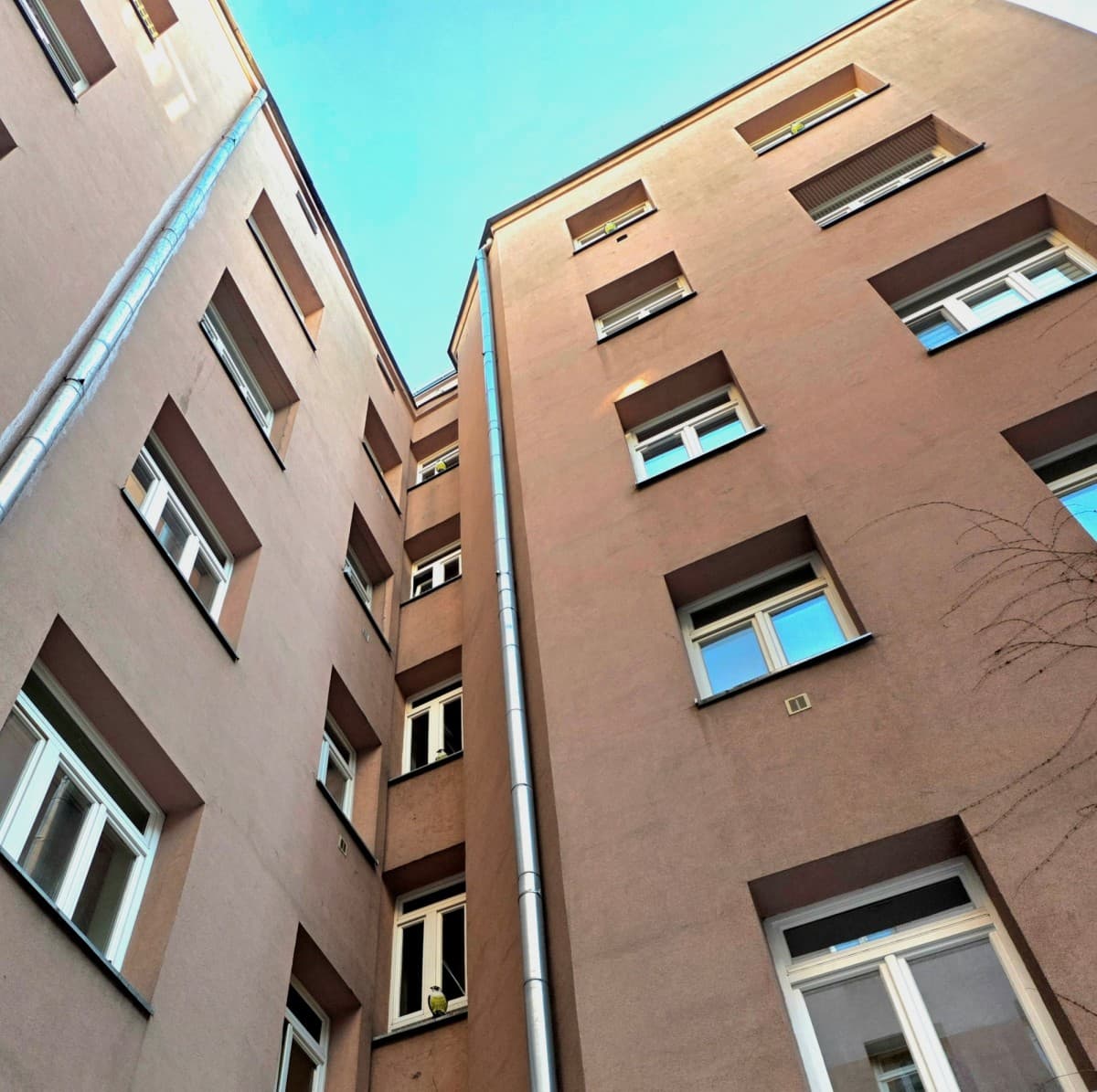 Powierzchnia strychu 240 m2 do adaptacji – 1