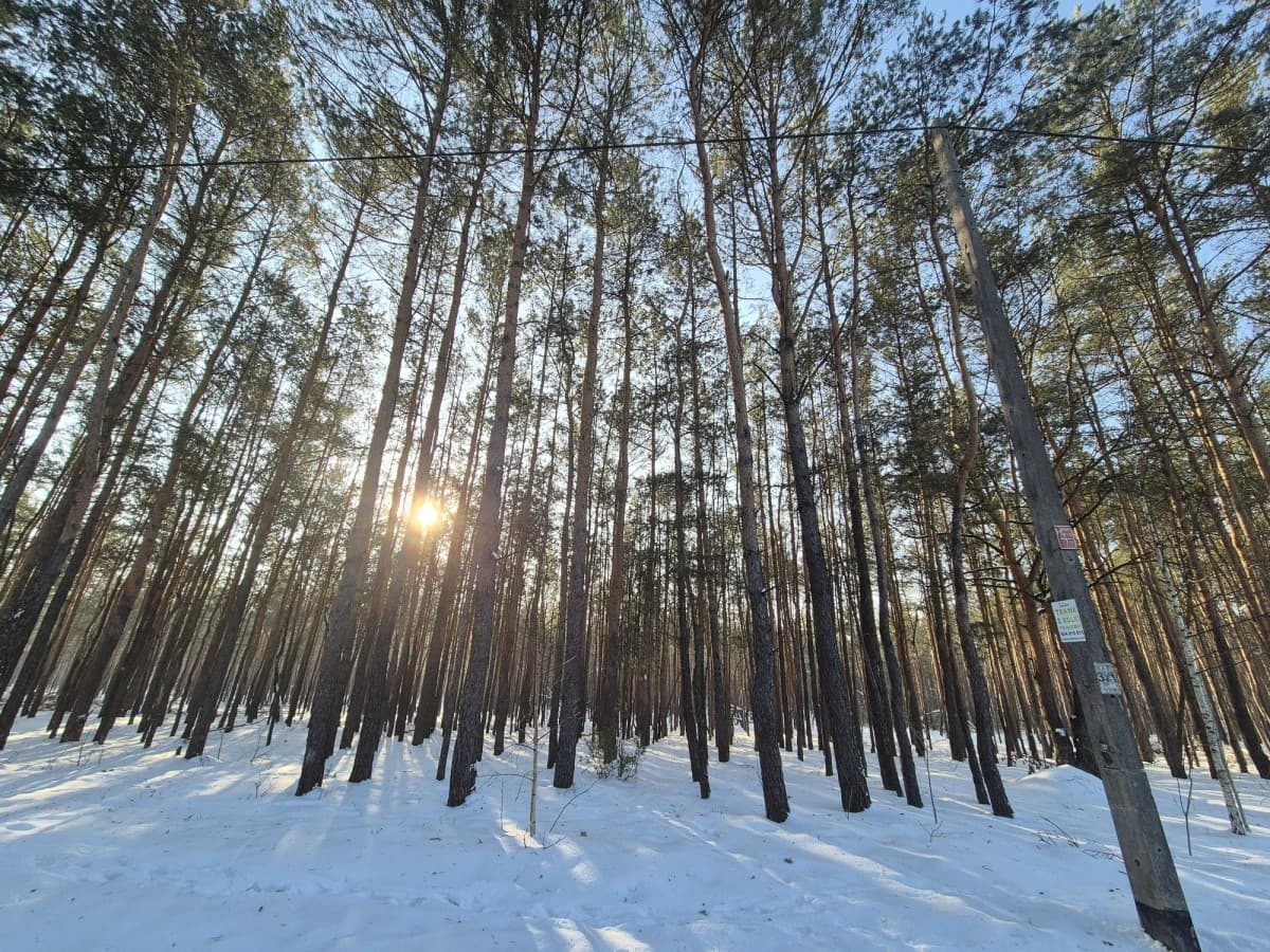 Przestronna działka inwestycyjna blisko Parku Mazowieckiego – 5