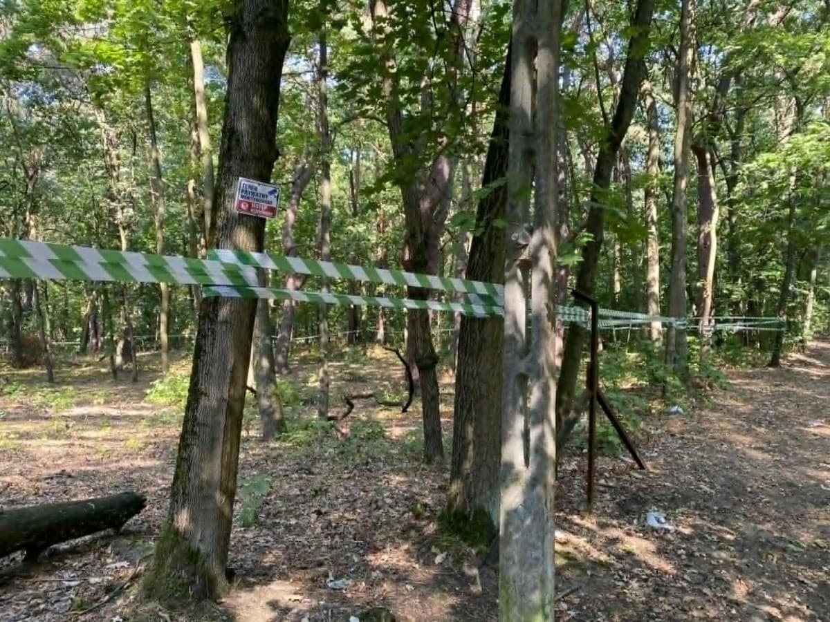 Duża działka budowlana w prestiżowym Konstancinie-Jeziornej – 2