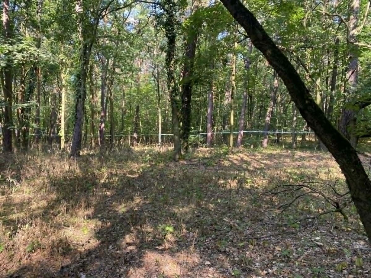 Duża działka budowlana w prestiżowym Konstancinie-Jeziornej – 5