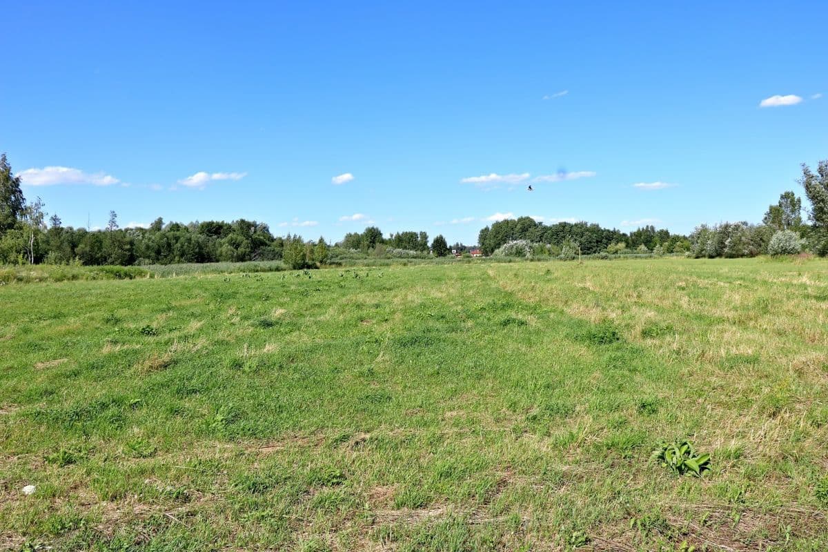 Działka inwestycyjna przy jeziorze Zgorzała w Ursynowie – 4