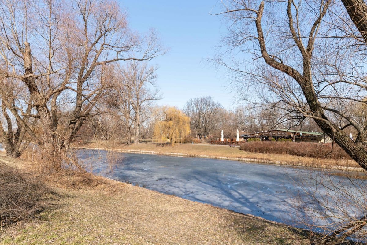 Dwa lokale użytkowe w doskonałej lokalizacji – 19