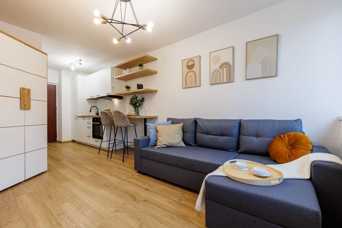 Kawalerka z widokiem na drapacze chmur w centrum – 1