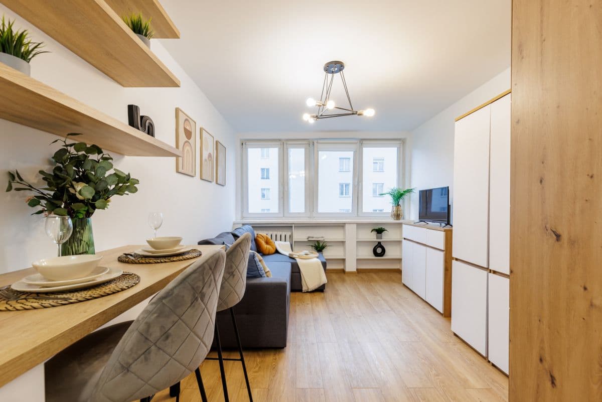 Kawalerka z widokiem na drapacze chmur w centrum – 3