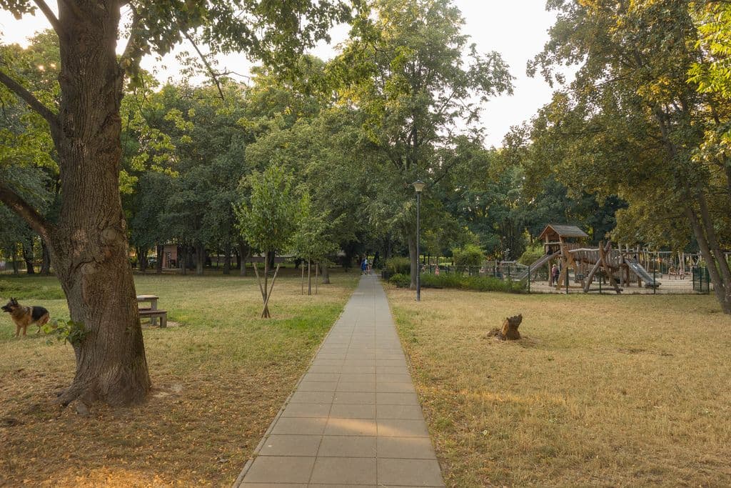 Wyremontowane mieszkanie 3-pokojowe gotowe do zamieszkania – 17