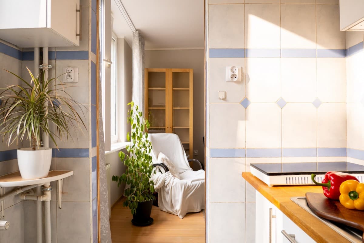 Kawalerka przyjazna zwierzętom do wynajęcia – 5