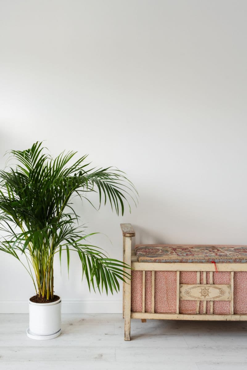 Przestronne mieszkanie z tarasem 81 m² przy SWPS – 4