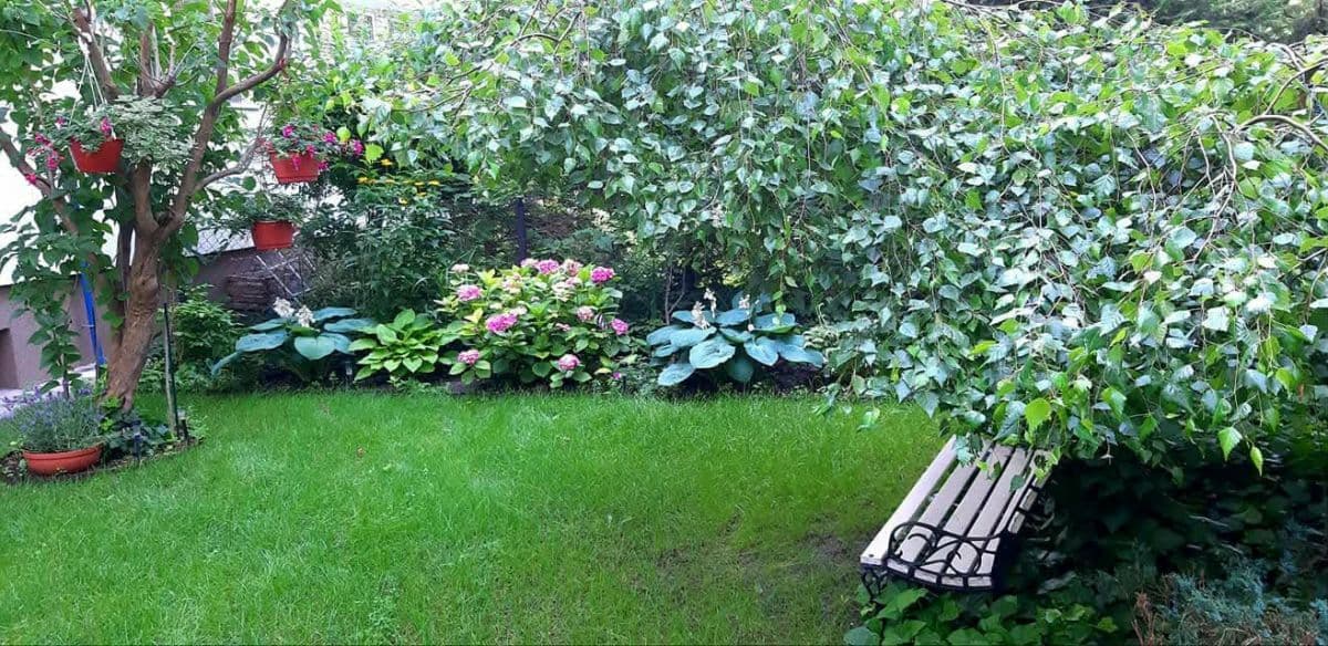 Mieszkanie 2-pokojowe z ogrodem do wynajęcia – 14