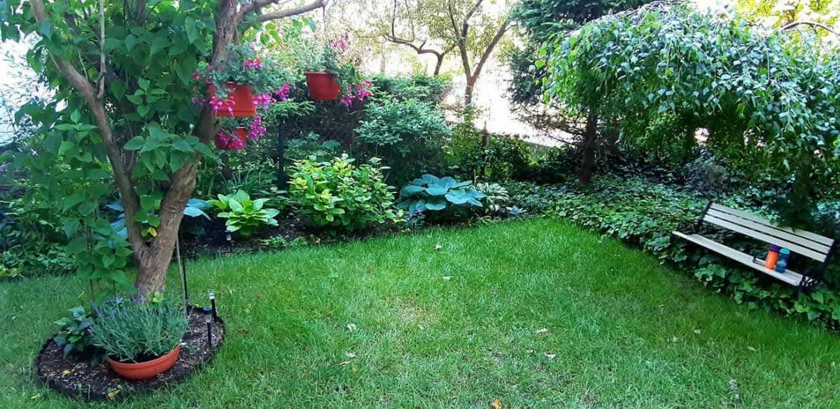 Mieszkanie 2-pokojowe z ogrodem do wynajęcia – 15