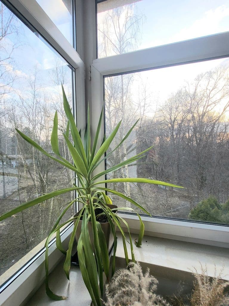 Wynajem mieszkania z widokiem na zieleń – 8