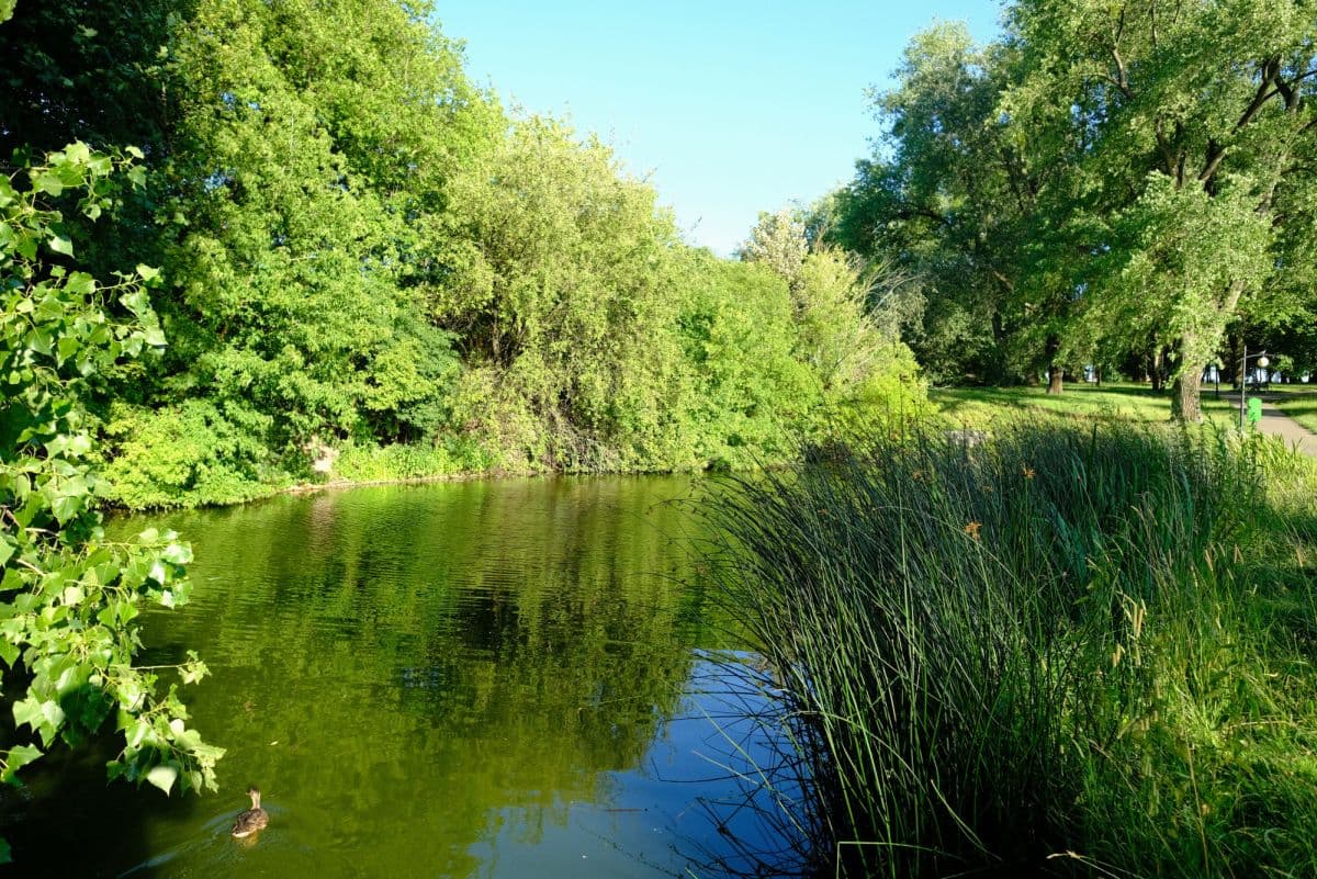 Słoneczne 2-pokojowe mieszkanie przy Parku Moczydło – 13