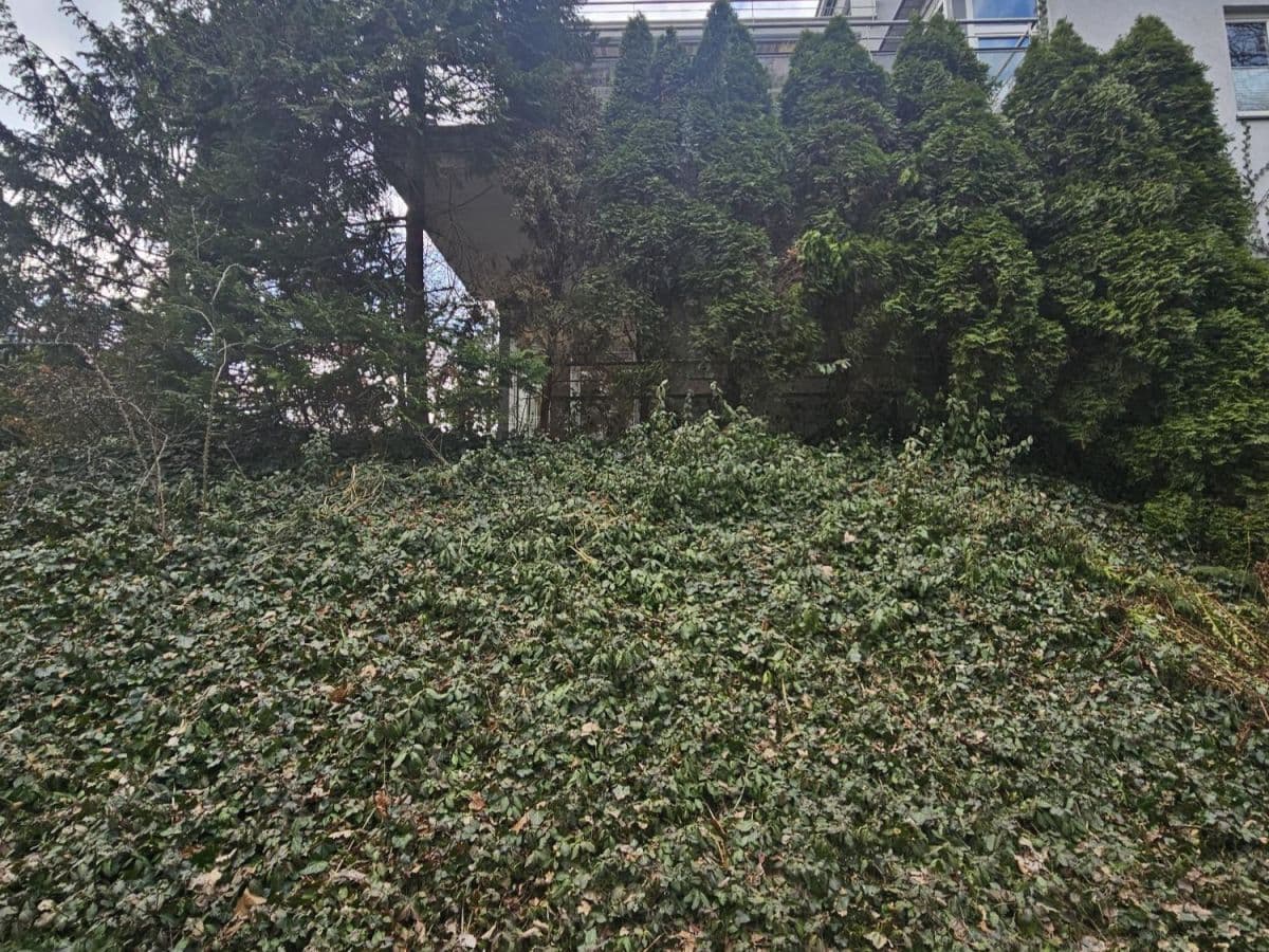 Przestronne mieszkanie 4-pokojowe z dwoma tarasami – 2