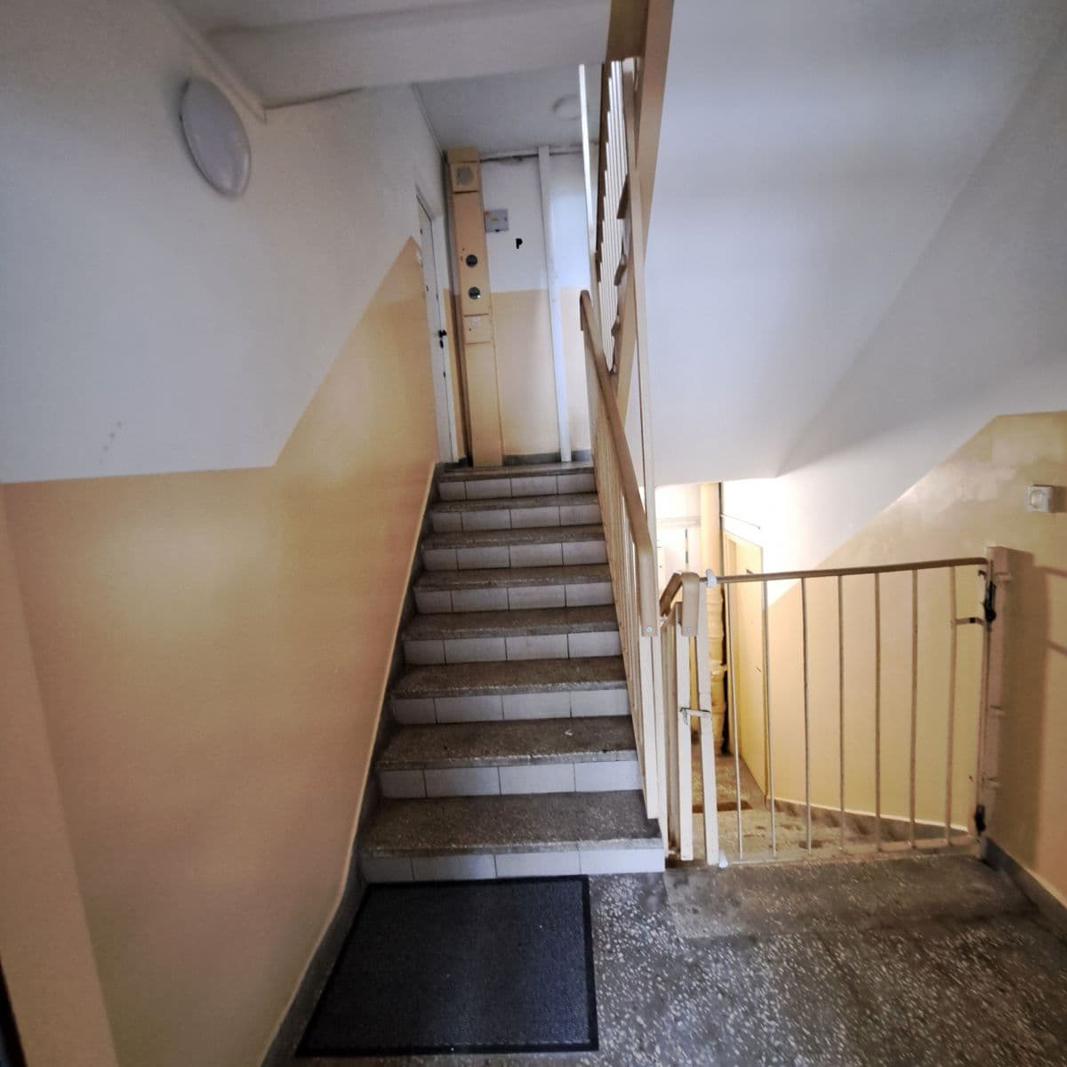 Wyremontowane mieszkanie na parterze blisko metra Natolin – 10