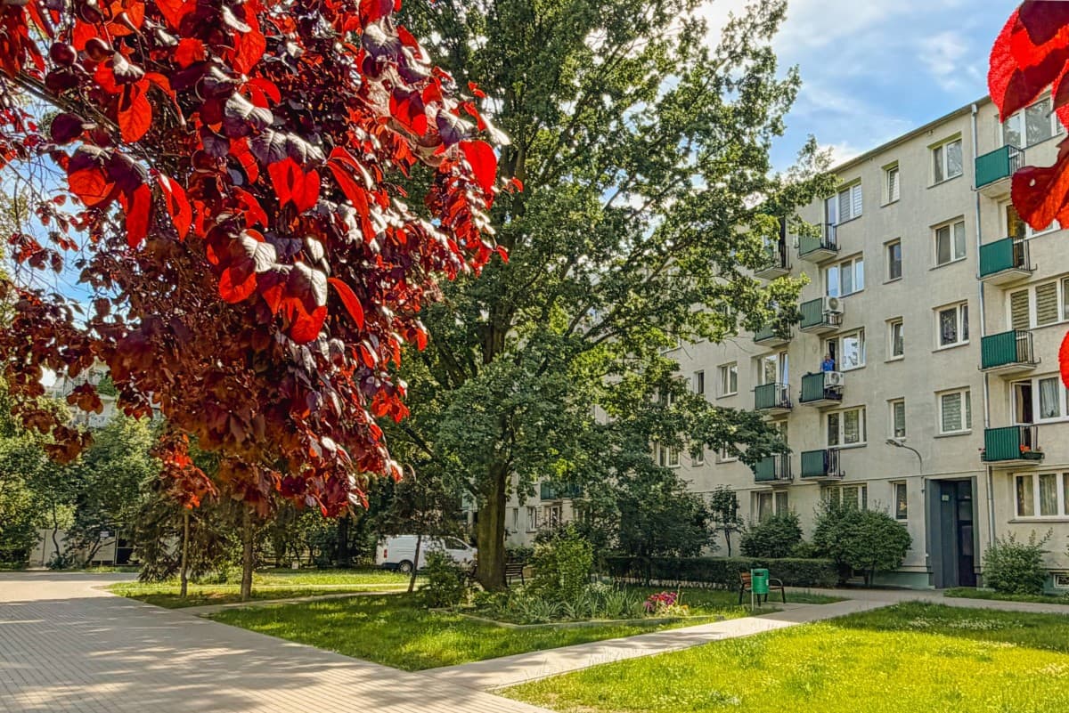Jasne mieszkanie 3-pokojowe z dobrze skomunikowane – 17
