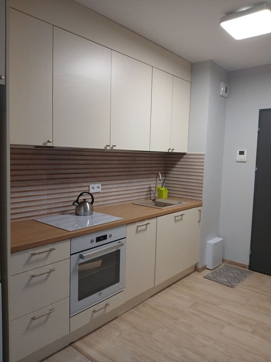 Nowoczesne mieszkanie 1-pokojowe z dużym balkonem w Pradze – 1