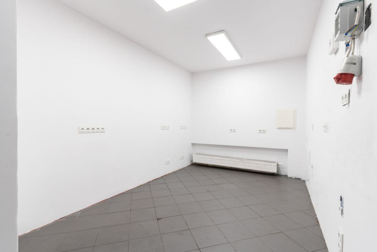 Lokal użytkowy parterowy z dostępem do ogródka – 6